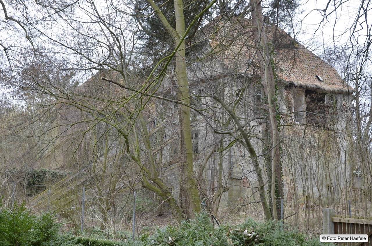 Ruine Wasserschloss Ellerburg