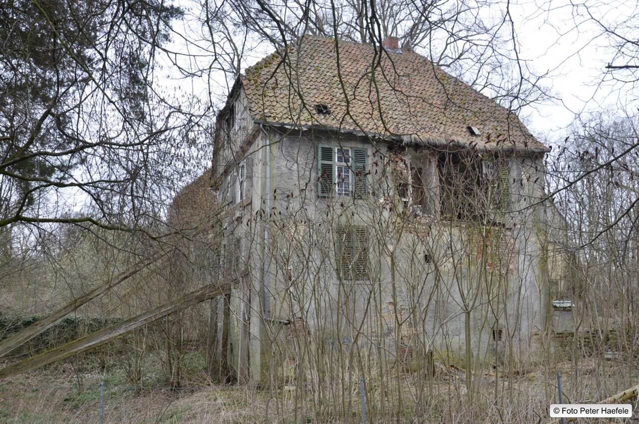 Ruine Wasserschloss Ellerburg