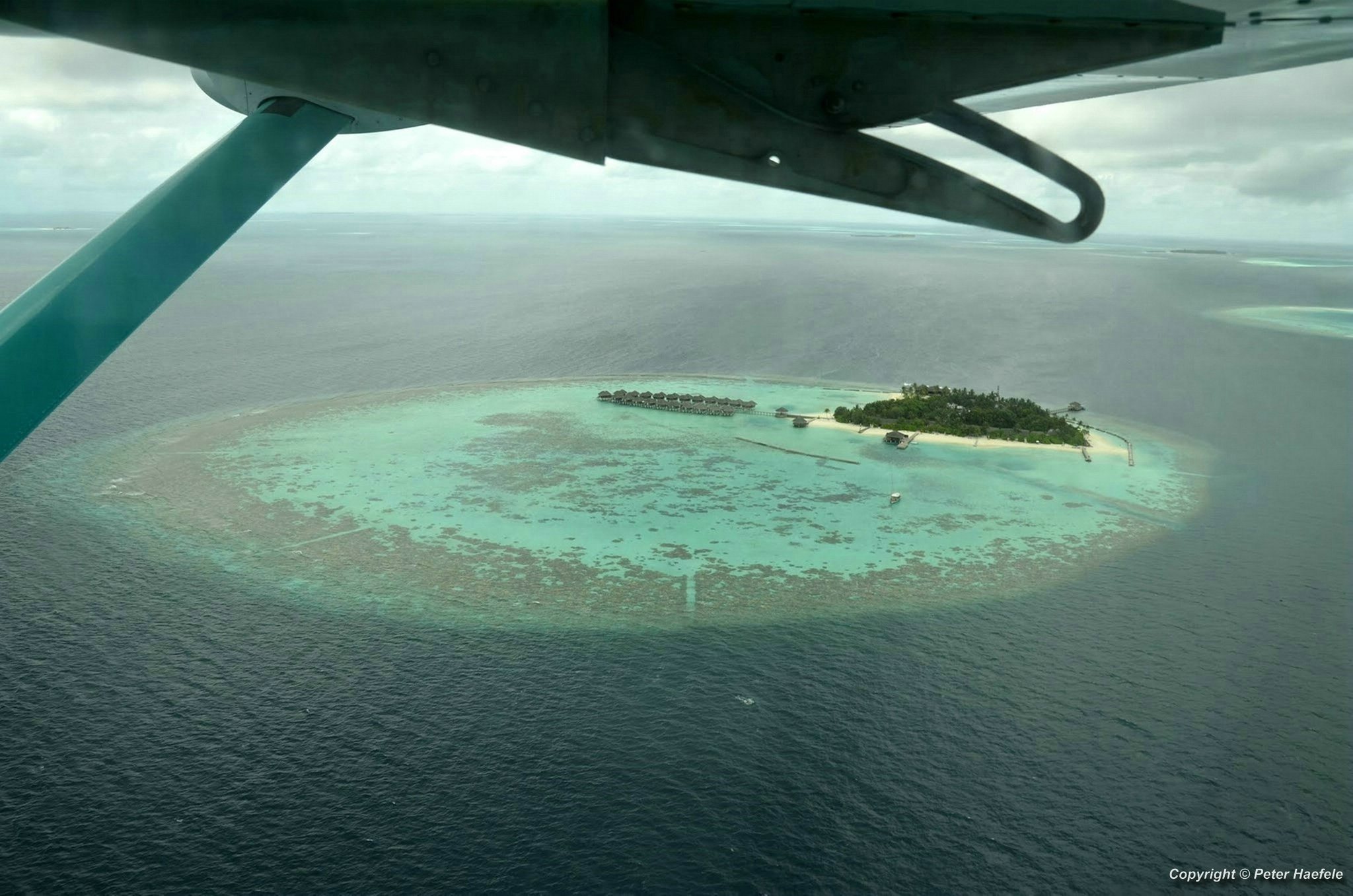 Flyme Flying Whale Shark Seeplane - Nalaguraidhoo - Sun Island - Malediven