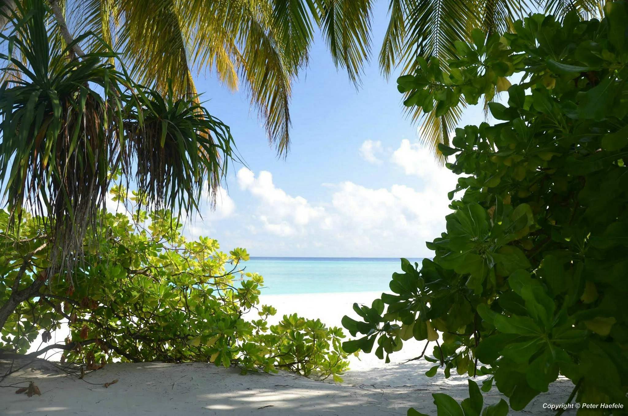 Traumurlaub Sun Island Resort und Spa Sued Ari-Atoll Malediven