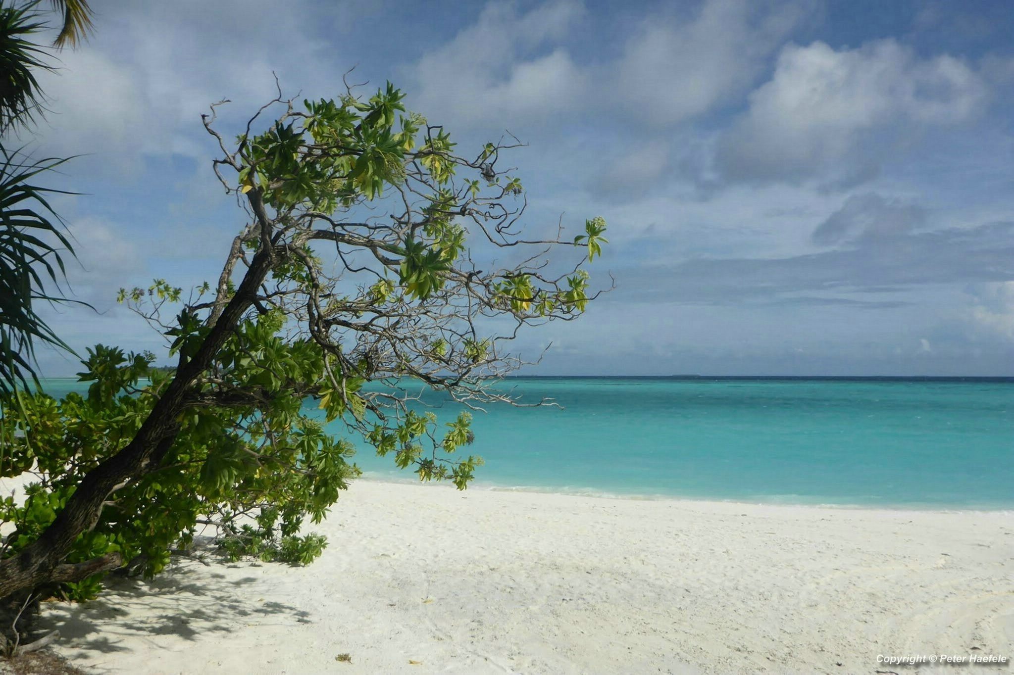 Traumurlaub Sun Island Resort und Spa Sued Ari-Atoll Malediven